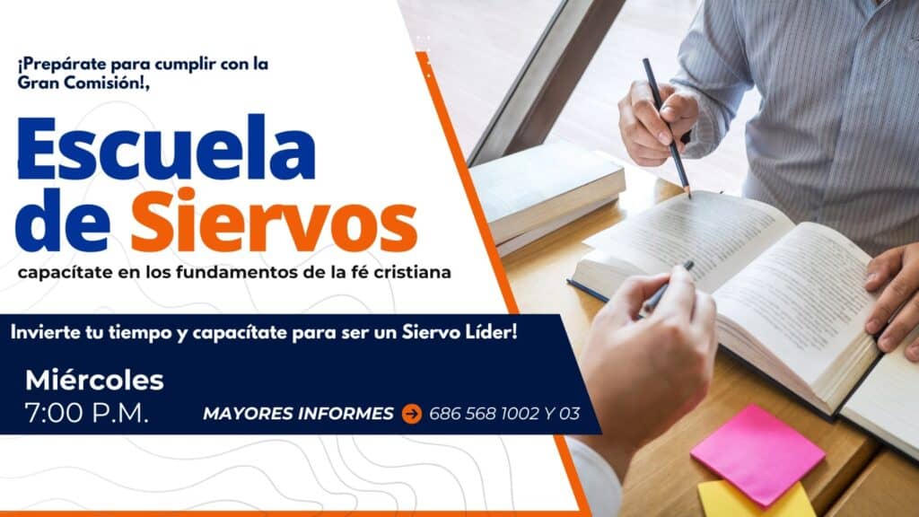 WhatsApp Image 2026-02-05 at 14.19.03